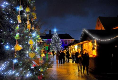 a group of people standing around a christmas tree at Le Gîte de Jade in Dannemarie