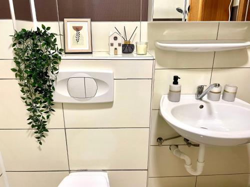 Koupelna v ubytování Moderne 2 Zimmerwohnung, Nähe Aachen- Niederlande- Belgien