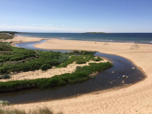 a view of a beach with a body of water at Tylebäck - boende med självhushåll in Halmstad