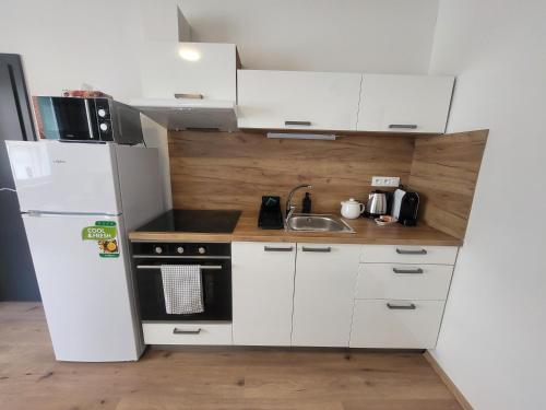 Una cocina o cocineta en City Center Apartments - Moderna Brno Římské náměstí II