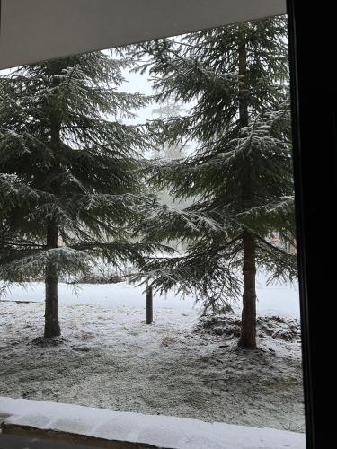 a view from a window of trees in the snow at Mountain Bliss 1-BR in Borovets