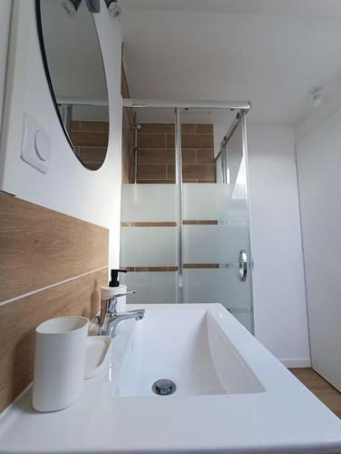 une salle de bain avec un lavabo blanc et un miroir dans l'établissement Duplex Idéal Plage et Ville, à Dunkerque