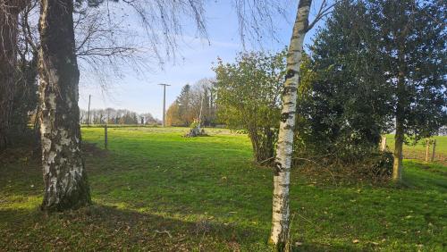 a group of trees in a field with grass at The Lions Den - La Loge Guest House in Mantilly
