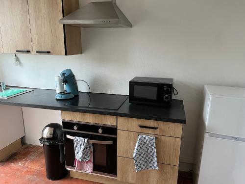 une cuisine avec un comptoir avec un micro-ondes dans l'établissement Vue sur Jardin - Netflix - Stationnement gratuit, à Migennes