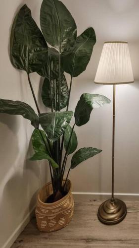 Φωτογραφία από το άλμπουμ του Wishart 1Bed 1Bath Tiny, Quiet House w Parking M15 στο Μπρισμπέιν