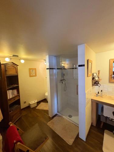 a bathroom with a shower with a sink and a desk at L'Atelier D' en Bas in La Tine