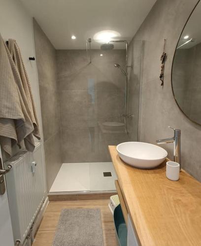 une salle de bain avec un lavabo et une douche dans l'établissement Duplex de montagne 4 personnes, à Uvernet