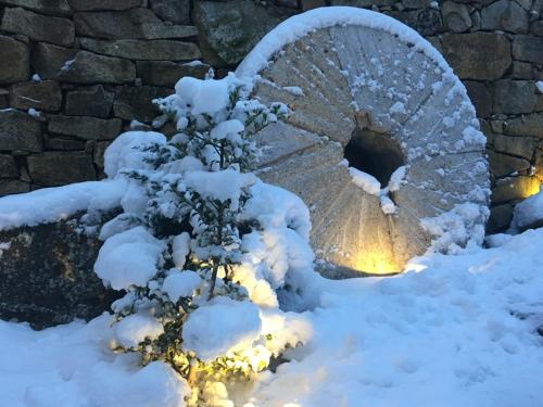 a stone pathway in the snow with a plant at Hotel Gredos María Justina in Navacepeda de Tormes
