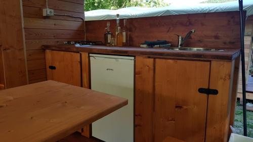 a kitchen with a sink and a dishwasher at Camping RioRequesa in Campore