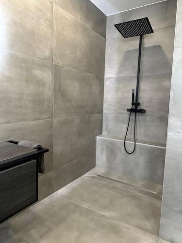 une salle de bain avec une douche avec pommeau de douche dans l'établissement Maison proche marché de Noel, à Wintzenheim