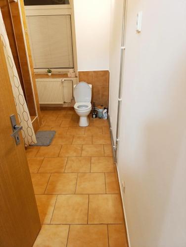 a bathroom with a toilet in a room at LEVNÉ UBYTOVÁNÍ Ústí nad Labem in Ústí nad Labem