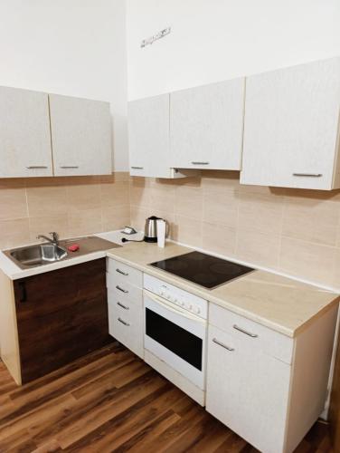 a kitchen with white cabinets and a sink at LEVNÉ UBYTOVÁNÍ Ústí nad Labem in Ústí nad Labem