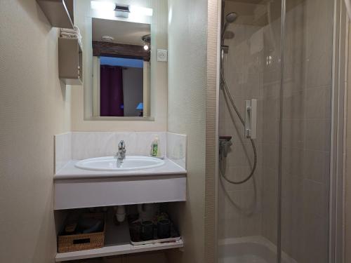a bathroom with a sink and a shower at Chambres d'hôtes de charme au Pays des Châteaux avec Wi-Fi - FR-1-590-333 in Tavers
