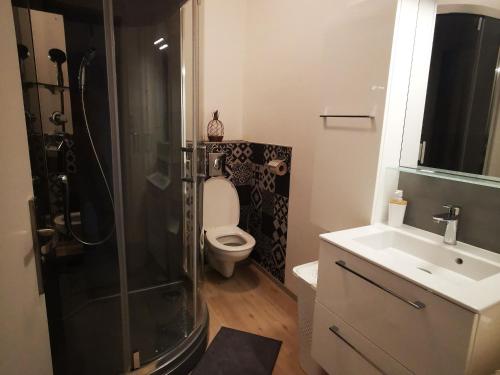 une salle de bain avec une douche, des toilettes et un lavabo dans l'établissement Appartement 3 étoiles avec terrasse privée à Nancy - FR-1-584-344, à Nancy