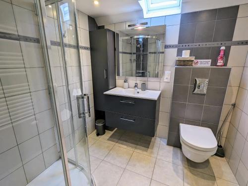 une salle de bain avec toilettes, lavabo et douche dans l'établissement Gîte Vosges avec Terrasse, Parking, et WIFI - FR-1-589-690, à Plainfaing