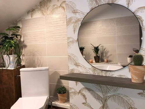 a bathroom with a mirror and a toilet at Gîte historique avec terrasse panoramique près de Nancy - FR-1-584-348 in Bouxières-aux-Chênes