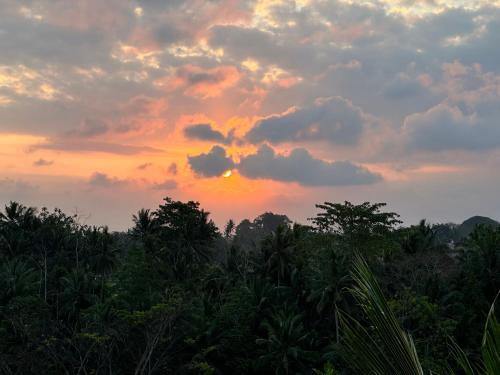 a sunset in the jungle with trees and clouds at Brata Cottage Ubud in Ubud