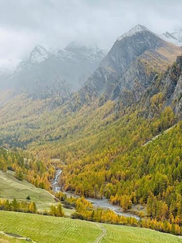 Příroda nedaleko apartmánu