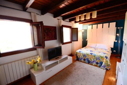a bedroom with a bed and a tv in it at Rural Enjoy Cantabria in Arnuero