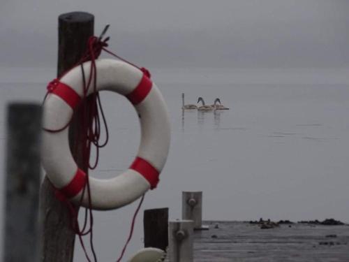 a red and white life buoy on the beach at Romantische Ferienwohnung im Herrenhaus Wüstenhain Spreewald in Vetschau