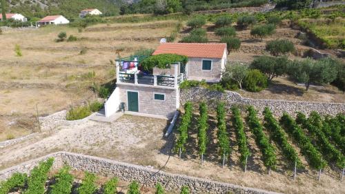 Holiday Home Vineyard house