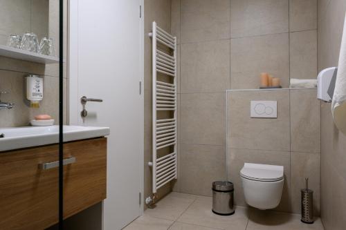 a bathroom with a toilet and a sink at Hiša Janko in Dolenjske Toplice