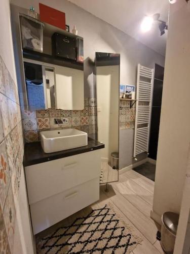 une petite salle de bain avec un lavabo et un miroir dans l'établissement Appartement bord de Garonne avec Parking, à Toulouse