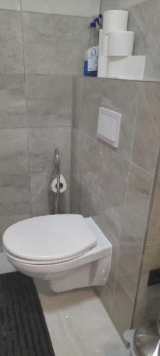 bagno con servizi igienici e un mucchio di asciugamani di Apartment T & P a Krapina