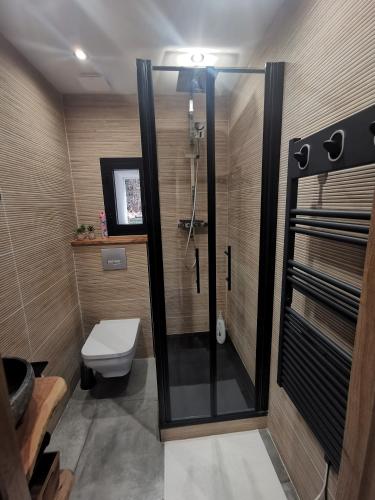 une salle de bain avec douche et toilettes dans l'établissement T2 pour 4, proche Versailles, Paris et La Défense, à Le Port-Marly