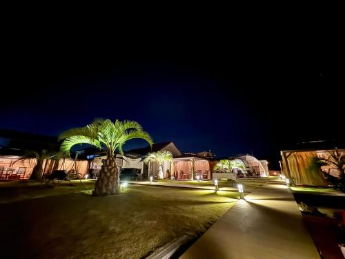 a palm tree in the middle of a street at night at Ducale Garden Hotel Kujukuri in Kujukuri