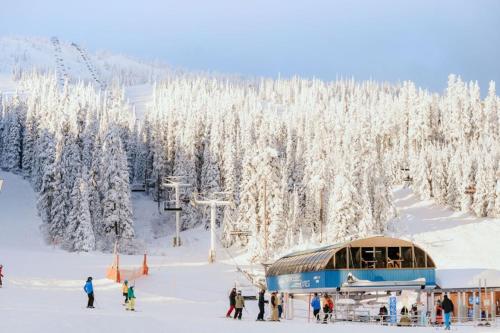 冬のThe Dorm Ski-In Ski-Out Studio, Pool and Gymの様子