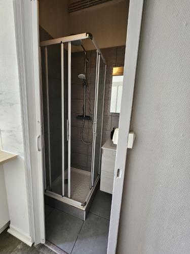 une salle de bain avec une douche avec une porte vitrée dans l'établissement Appartement F2 à Villeurbanne, à Villeurbanne