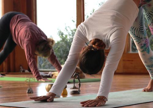 a group of women doing yoga in a room at Away with the Fairies Nature Lodge and Backpackers in Hogsback