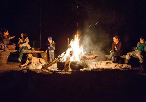 a group of people sitting around a fire with a dog at Away with the Fairies Nature Lodge and Backpackers in Hogsback