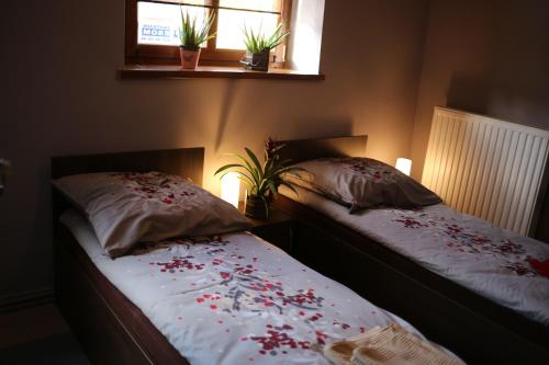 two beds in a bedroom with red flowers on them at Noclegi Andersa in Wałbrzych