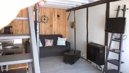 a living room with a couch and a television at La Maréchalerie L'ATELIER in Lion-en-Sullias