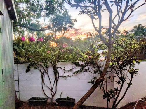 a white wall with two trees in front of it at Tropical Garden Villa 5 Mins From City Centre in Paraparap