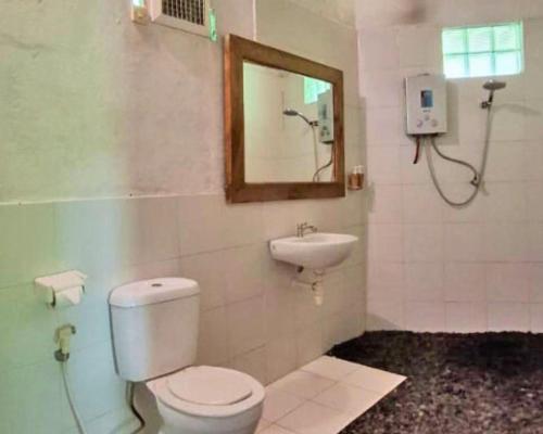 a bathroom with a toilet and a sink and a mirror at Warung Rekreasi Bedugul in Bedugul