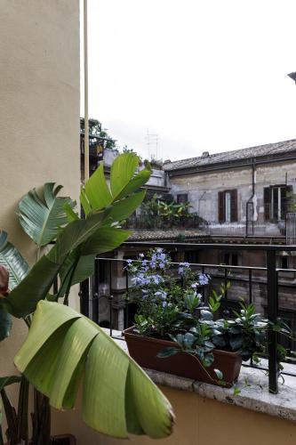 Sant'Andrea Apartment photo 95