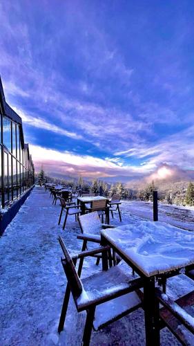 a row of picnic tables in the snow at Barátság Panzió - Pensiunea Barátság in Ditrău