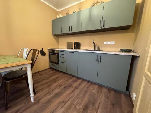 a kitchen with a table and a counter top at Apartmány za Královskou mincovnou in Jáchymov