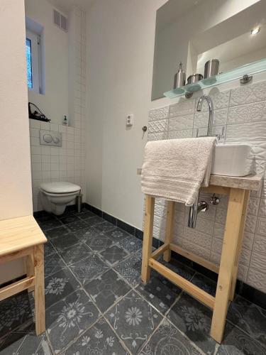 a bathroom with a sink and a toilet at Apartmány za Královskou mincovnou in Jáchymov