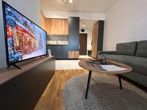 TV i/ili multimedijalni sistem u objektu OpenView Apartment