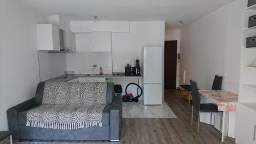 un salon avec un canapé et une cuisine dans l'établissement Cannes proche croisette, à Cannes