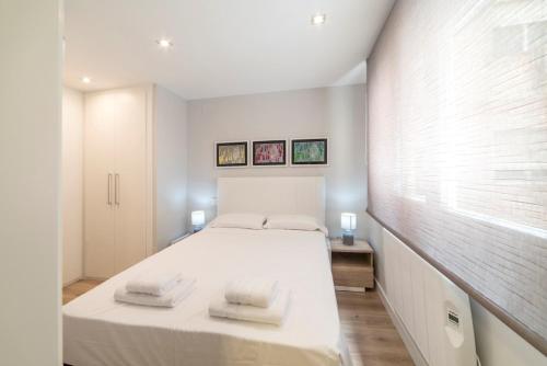 Cozy 1BD San Miguel-Plaza Mayor city centre