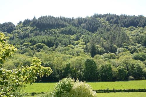 a green field with a mountain in the background at Duddon Valley Attic, Lake District National Park, Sleeps 4 in Broughton in Furness