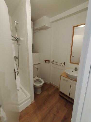 une salle de bain avec toilettes et lavabo dans l'établissement Studio Porteille d'Ax entièrement rénové !, à Ax-les-Thermes