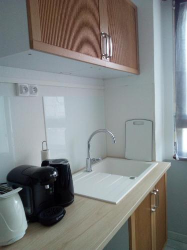 - un comptoir de cuisine avec évier et cafetière dans l'établissement L'EUROPEEN Centre-inst européennes, à Strasbourg