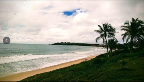 a beach with palm trees next to the ocean at Corais de Cotovelo in Parnamirim