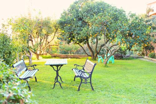 Maison familiale grand jardin privatif